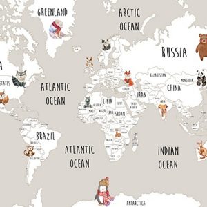 World Map Wallpaper for Kids’ Bedroom